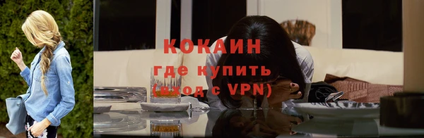 шишки Горнозаводск