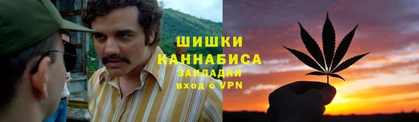 эйфоретик Вяземский