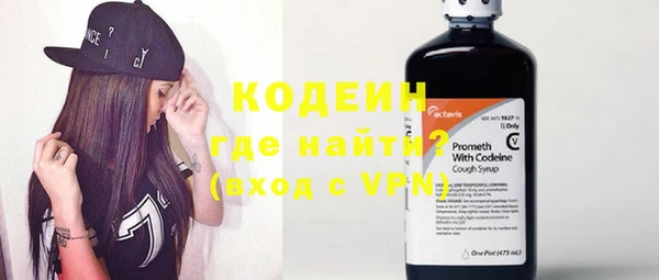 эйфоретик Вяземский