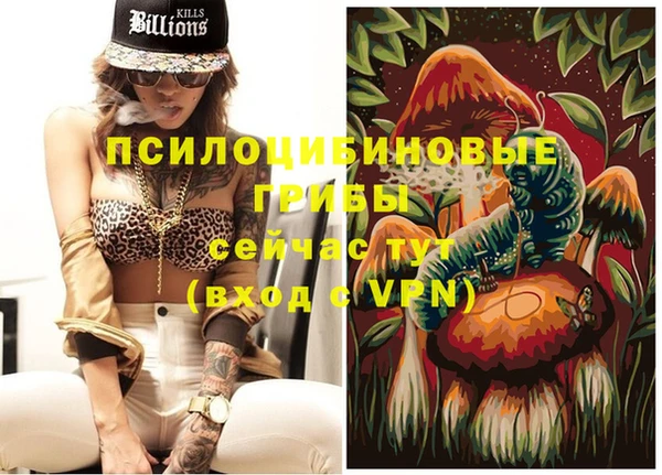 гашик Протвино
