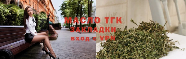 эйфоретик Вяземский