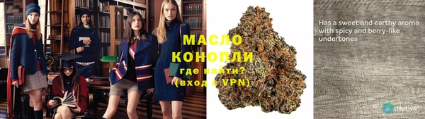 эйфоретик Вяземский