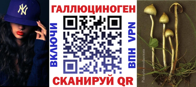 Галлюциногенные грибы прущие грибы  Купить где  Кудрово 